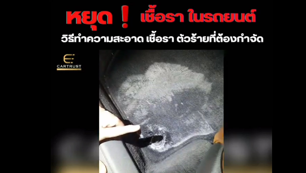 หยุด! เชื้อรา ในรถยนต์
